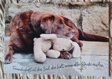 Heye Athesia  AK Postkarte mit Spruch Hund Labrador Retriever  Stofftier Hase