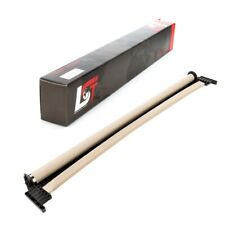 Rollo Panoramadach elektrisch