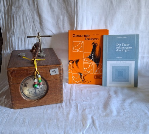 Taubenuhr brieftauben - taubenuhr,