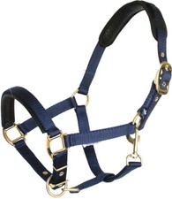 Mustang Tornado Halfter für