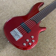 6 String Fretless Electric