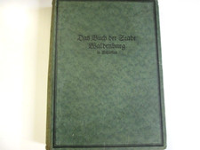 Das Buch der Stadt Waldenburg