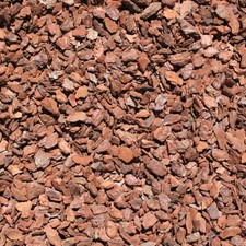 Pinienrinde Piniendekor