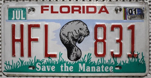 Florida nummernschild usa - florida,