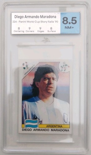 Seltene panini foot - seltene,