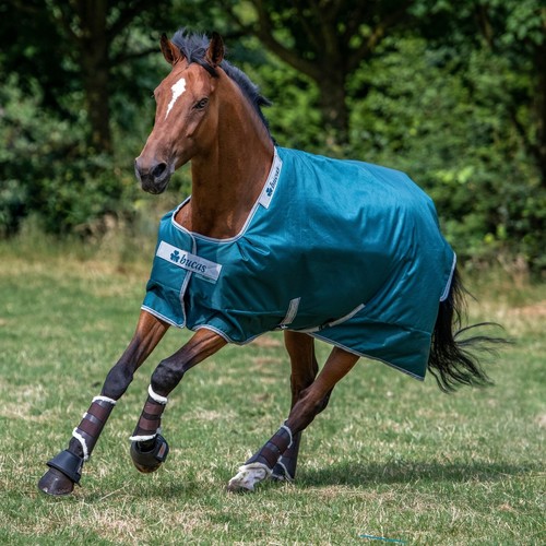 Bucas atlantic turnout light - atlantic,