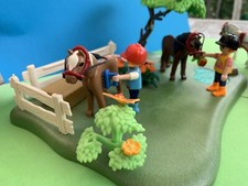 Playmobil 5457 Country Ponykoppel und Ponywagen Kutsche, gebraucht - TOP