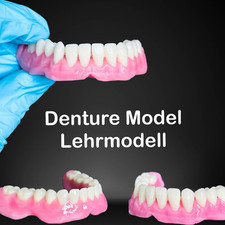 Schaumodell, Lehrmodel
