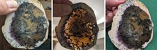 Great 9cm Slice Dendrite Opal