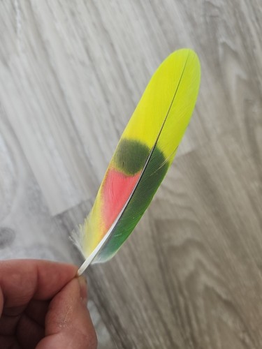 Bunte - 12,5, cm