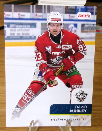 2025 del2 base david - del2,