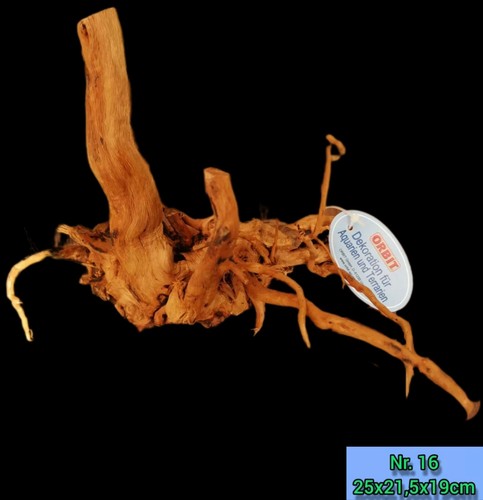 Spiderwood - (€17,99/stk.),