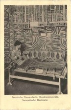 Java - Javanische Hausweberin