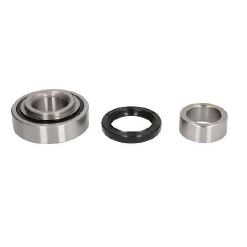 Radlagersatz 23922743 hinten