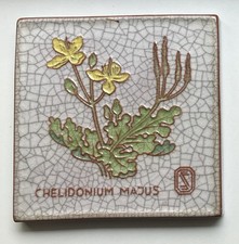 Karlsruher Majolika Wandkachel Fliese Wandbild CHELIDONIUM MAJUS Dr.  W. Schwabe