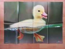 medizini Poster 4/2009