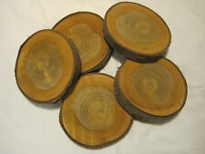 5 x Kirsche Holzscheiben -