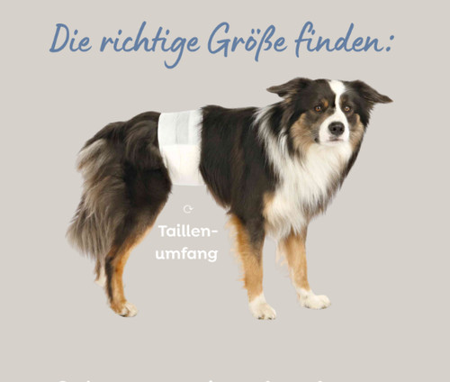 Trixie 23643 windeln für - 23643,