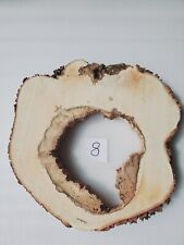 Int8 XL Deko Baumscheibe Ahorn 61x58x8 hohl ca.70 Jahre Holzscheibe Tischplatte