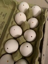 10 ausgeblasene weiße echte Eier Hühnereier Aufdruck Stempel entfernt weiß