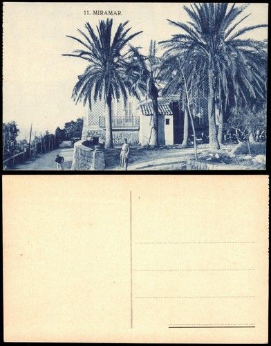 Postale palma - palma, (