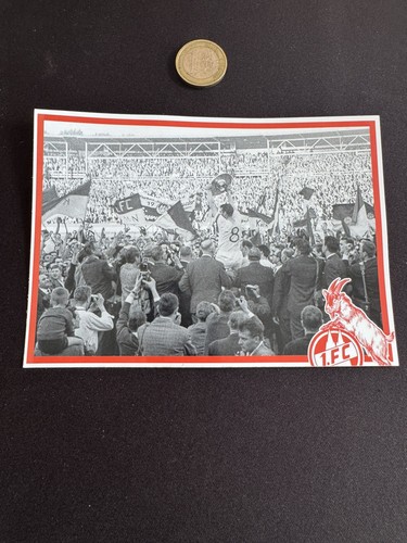 Ultras köln sticker - ultras,