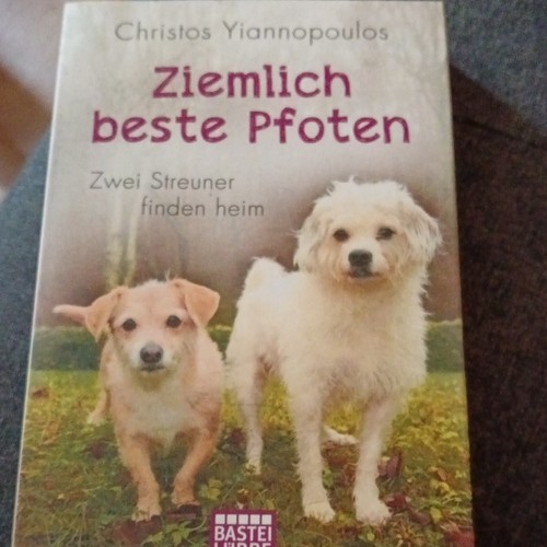 Bastei lübbe ziemlich - ziemlich, beste
