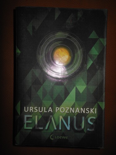 Elanus ursula poznanski - ursula,