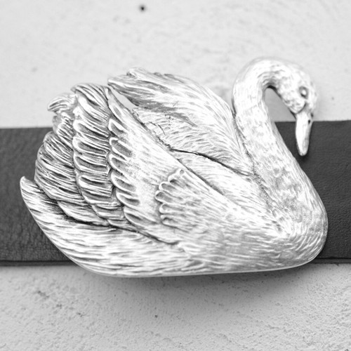 Elegante silberfarbene schwan - elegante,