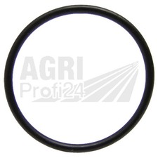 Dichtring Vorderachse für