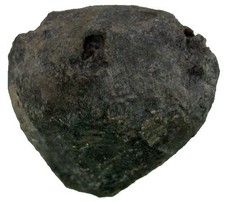 Devon  Melocrinites sp