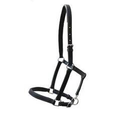 gepolstertes Lederhalfter Everyday schwarz Pony Cob Full 2-fach verstellbar NEU