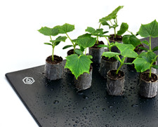 FYTO HEAT 55.2 Deluxe | B-Ware