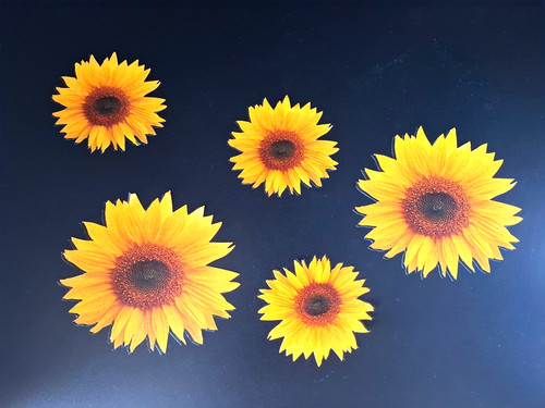 Aufkleber sonnenblumen sticker - aufkleber,