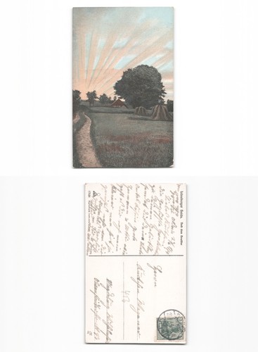 Lüneburger heide - ,