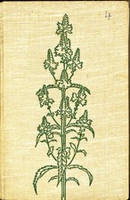 Karl Foerster: Garten als