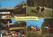 Ellmau Tirol Haflingertraenke Grubhof Reiten Wilder Kaiser