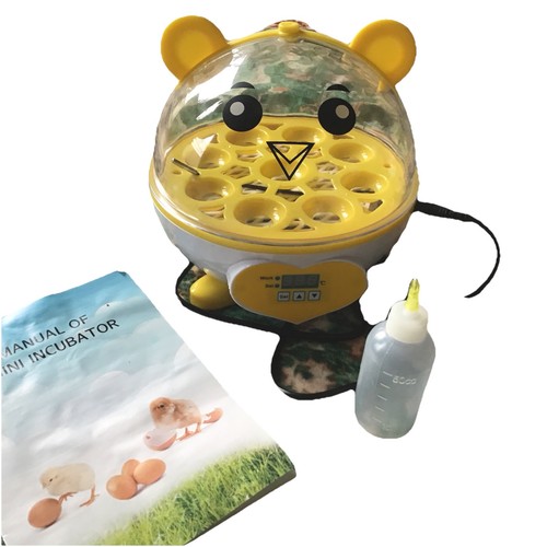 Eier inkubator bruteier mit - eier,