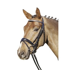 Euroriding Trensenzaum London