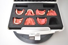 Go-Dent Schaumodell mit Koffer