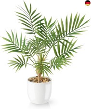 PASCH® Kunstpalme Areca (35cm) in weißem Keramiktopf: Kunstpflanzen wie echt | K