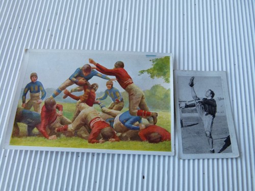 44341 trading card - 44341,