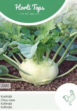 Kohlrabi Lanro, weiss, Samen, Horti Tops,  Brassica, ca 1,5 g