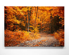 Wunderschöne Herbst Motive