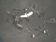 Ducati st2 st4 kabelbaum - st4,