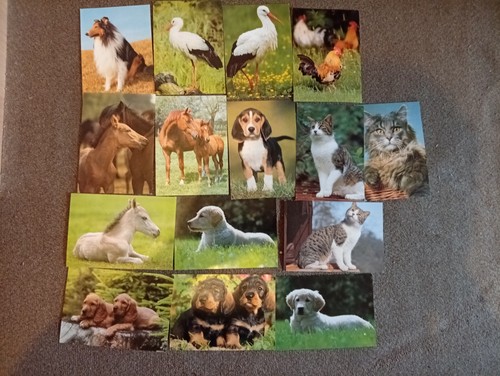 Postkarten ansichtskarten - postkarten,
