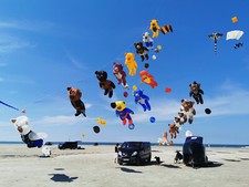 Stablose Bären Drachen nach Peter Lynn