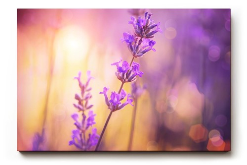 Sinus art wandbild - sinus,