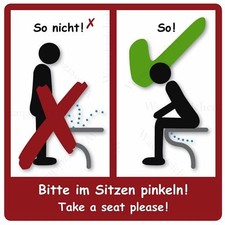 Car Sticker Please Sit Pee