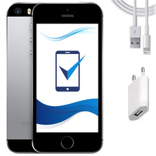 Smartfon Apple iPhone 5s 16GB